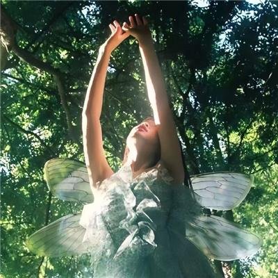 我家娇妻不好惹